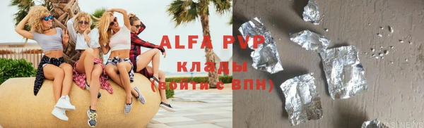 дживик Бородино