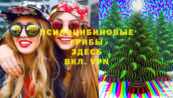 тгк Бронницы