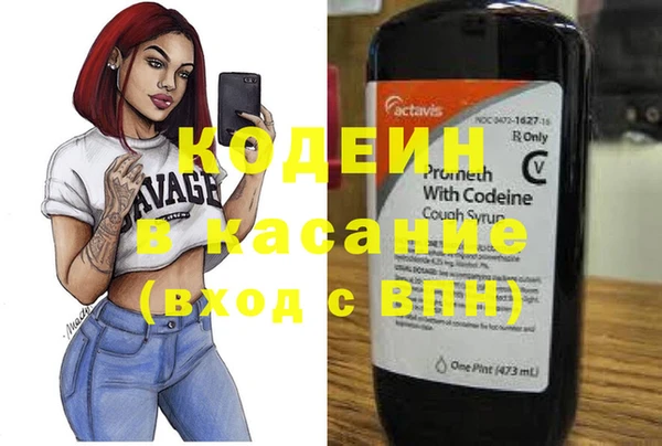 дживик Бородино
