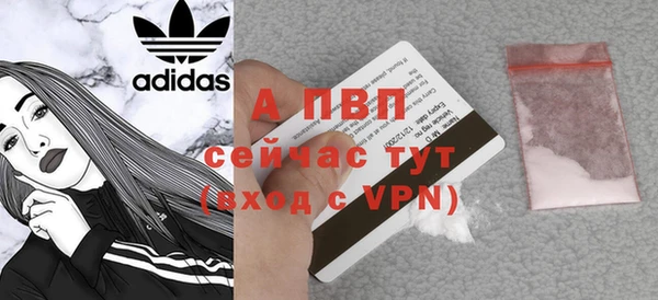 стаф Богданович