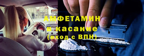 дживик Бородино