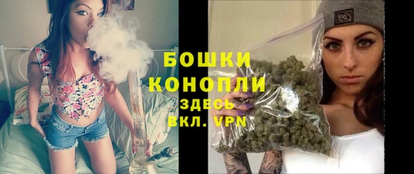 дживик Бородино