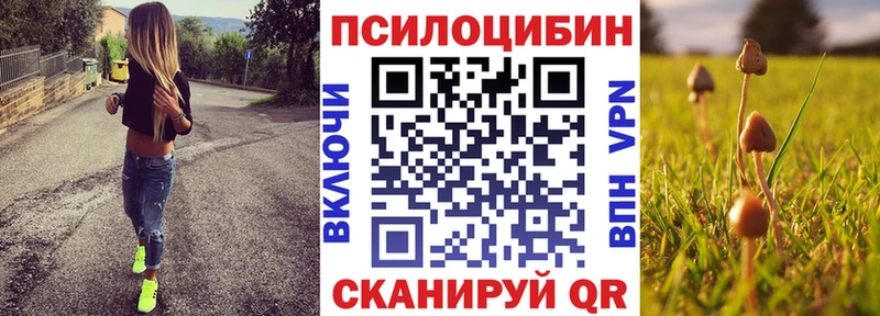 Галлюциногенные грибы мицелий  Купить закладки  Певек 